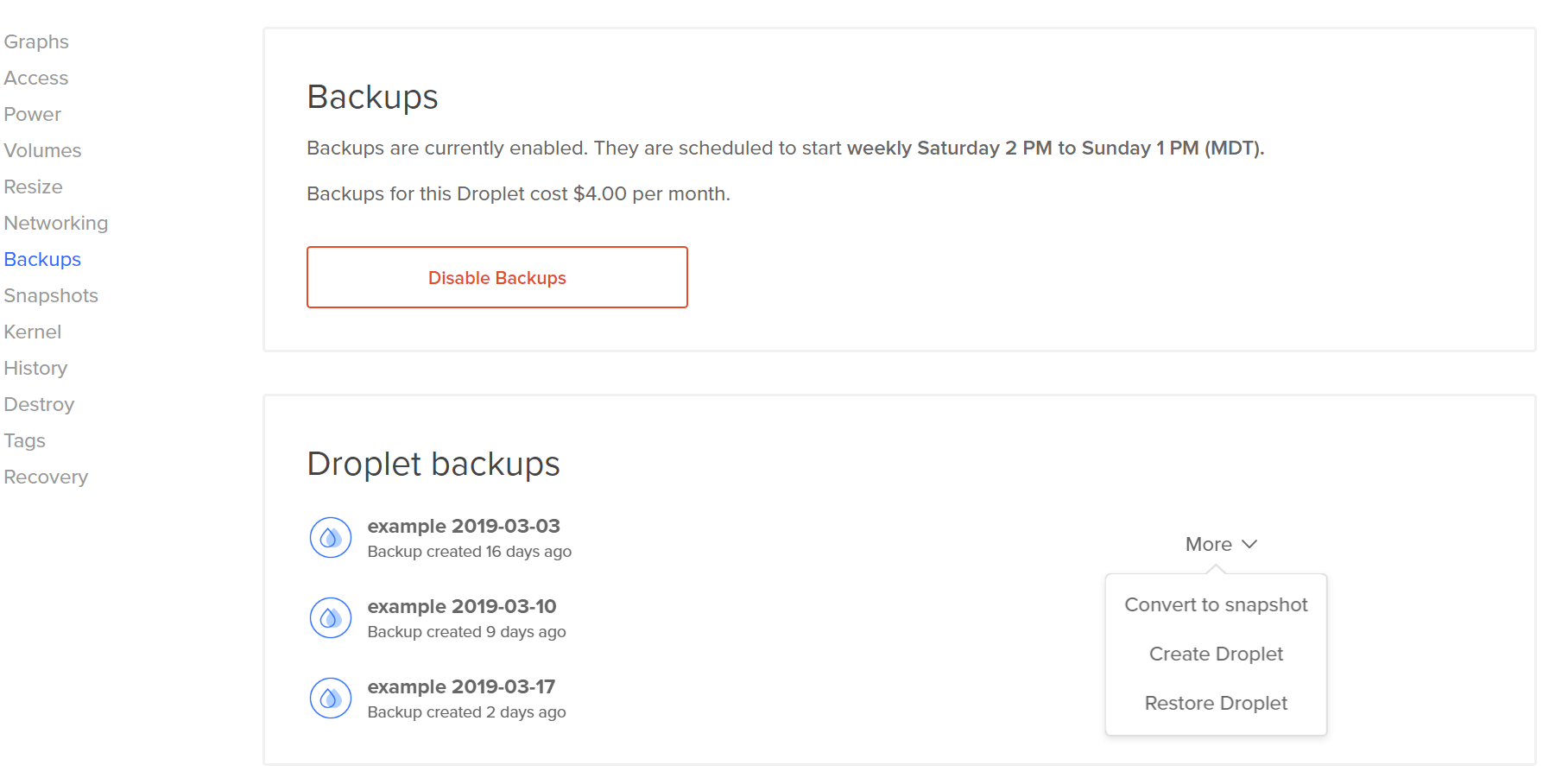 Droplet backups with the More menu open