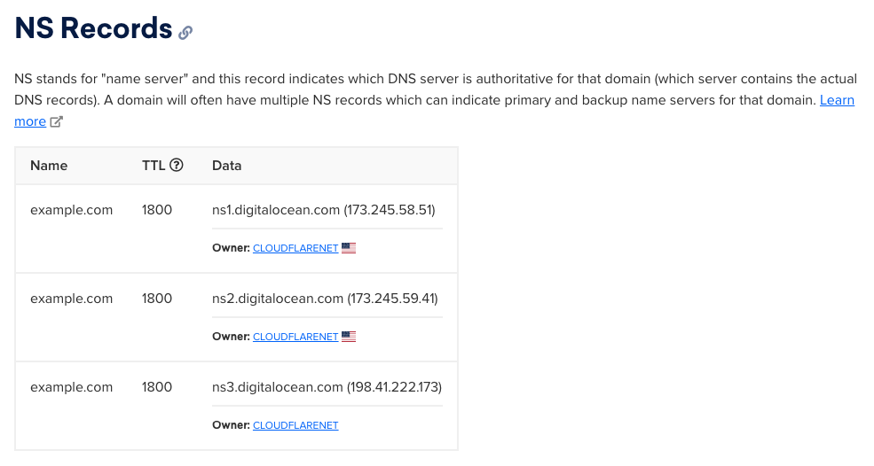 NS record lookup