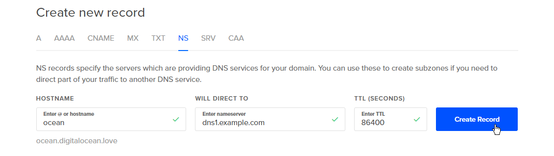 NS record with example nameserver