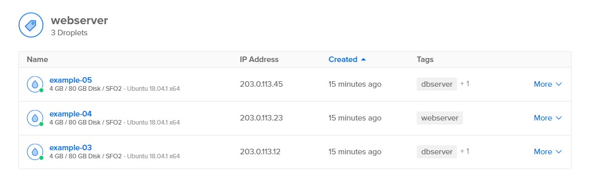 An example of a list of resources with a tag. There are 3 Droplets with the tag 'webserver'.