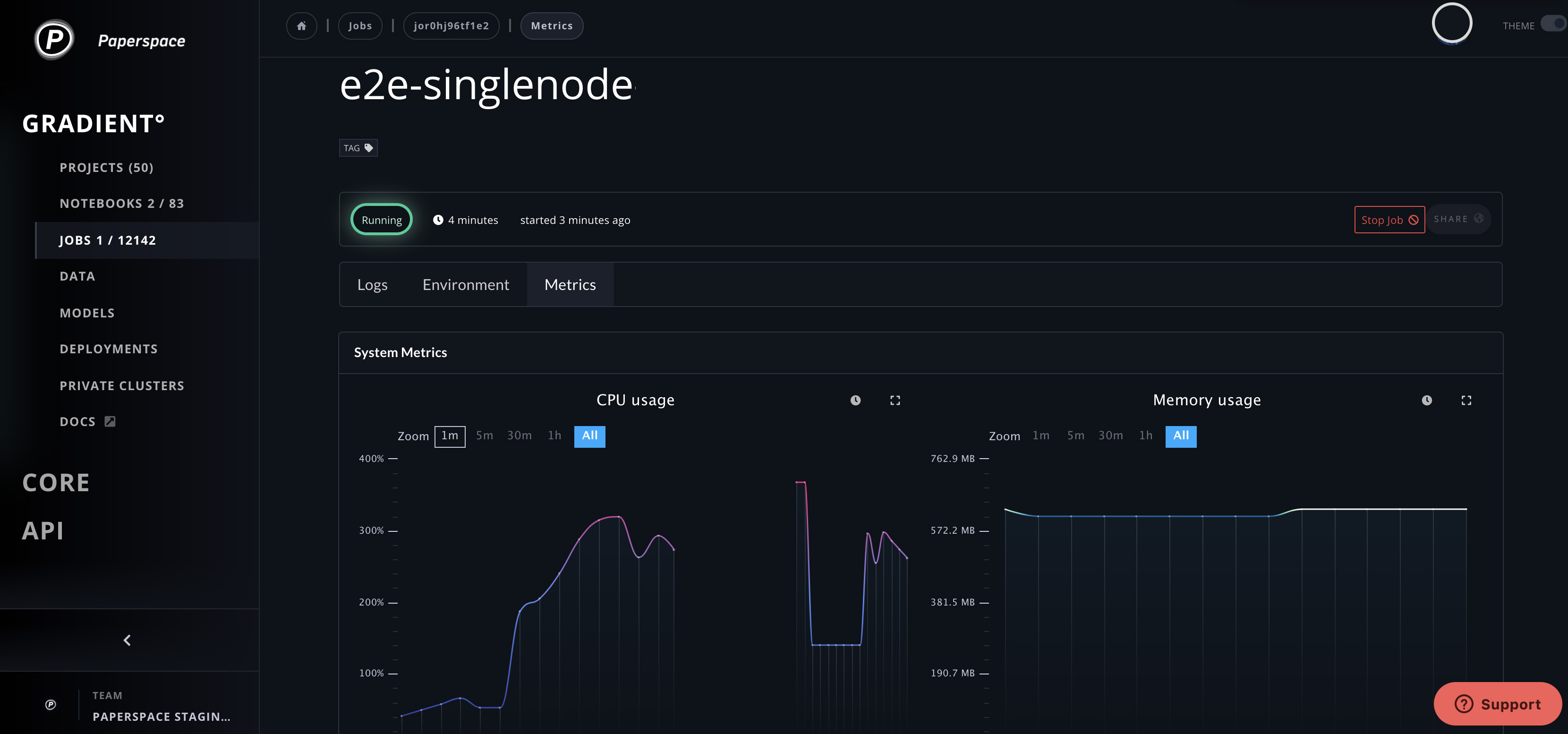 System Metrics showing CPU and Memory Usage